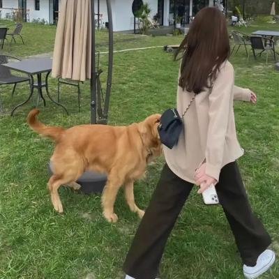 深海大猎杀
